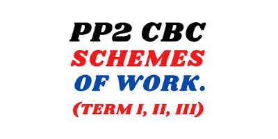 Scheme Of Work Pp2 (Whole Year)